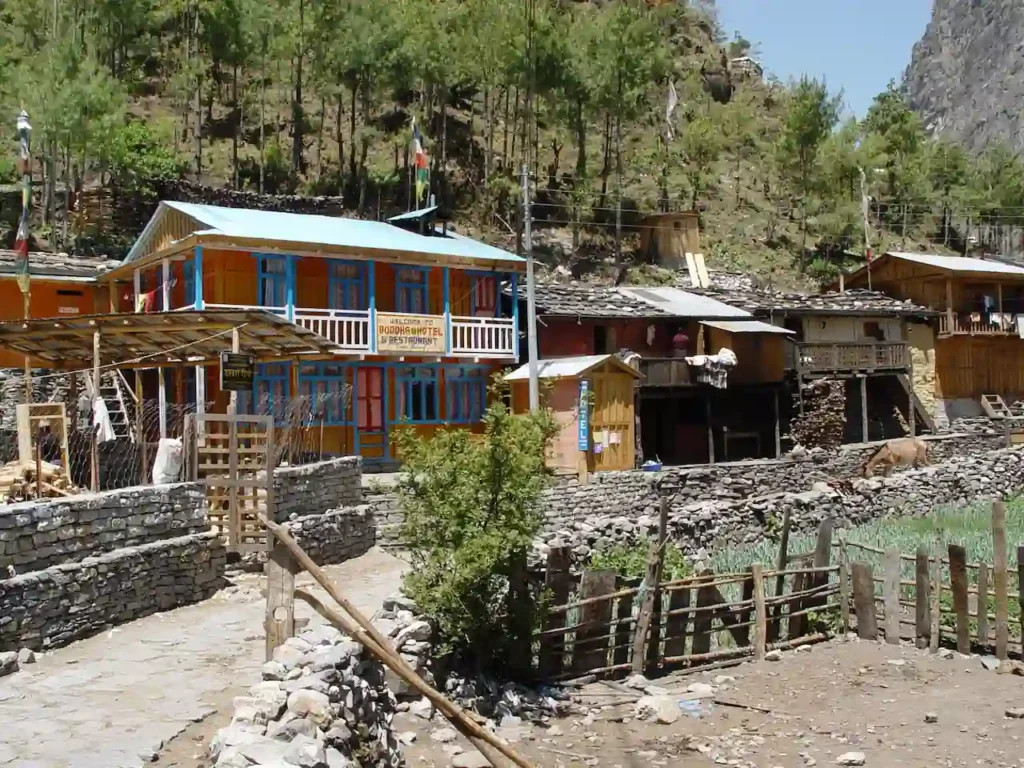 Annapurna Base Camp Trek